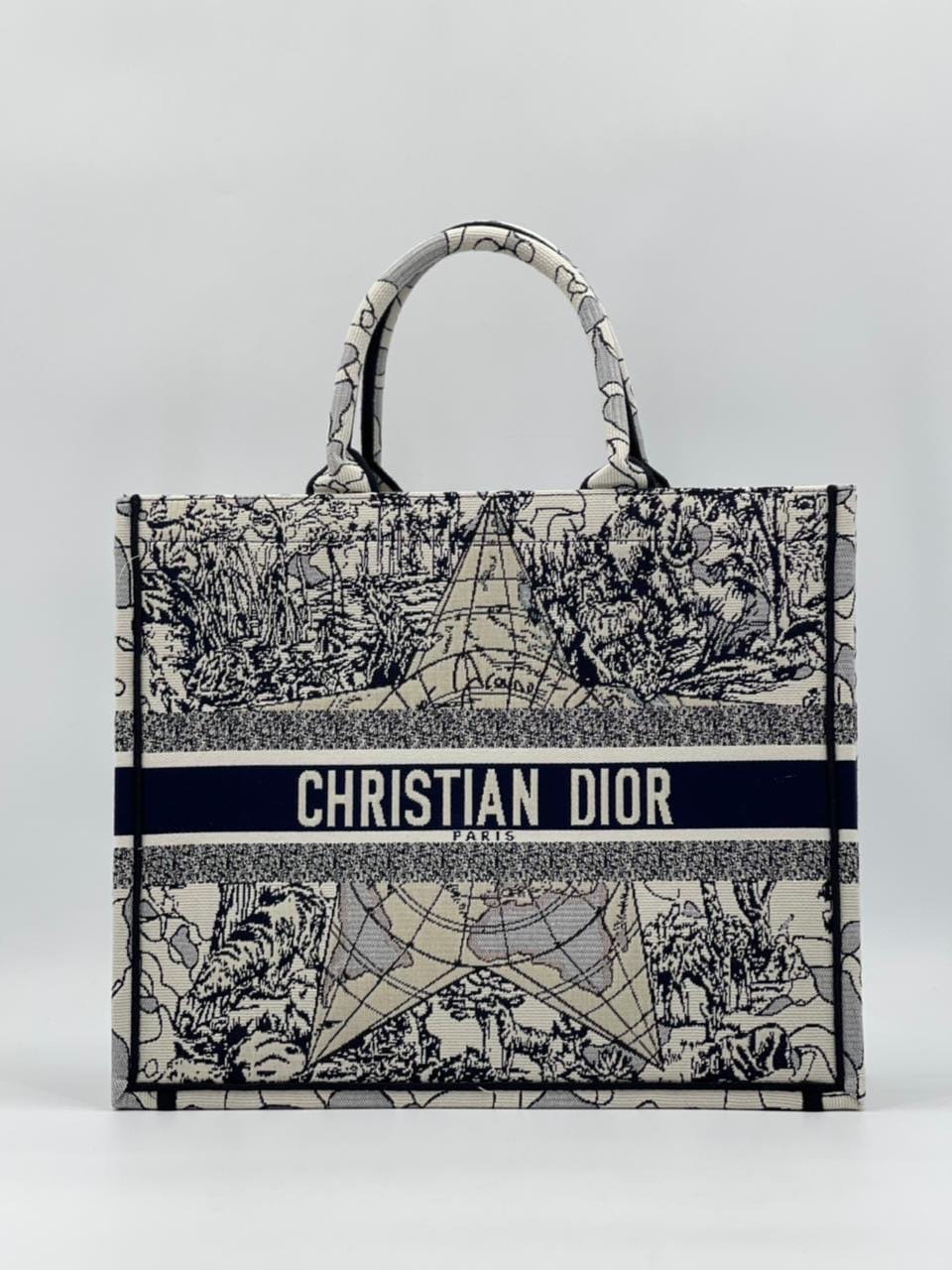 Сумка Christian Dior